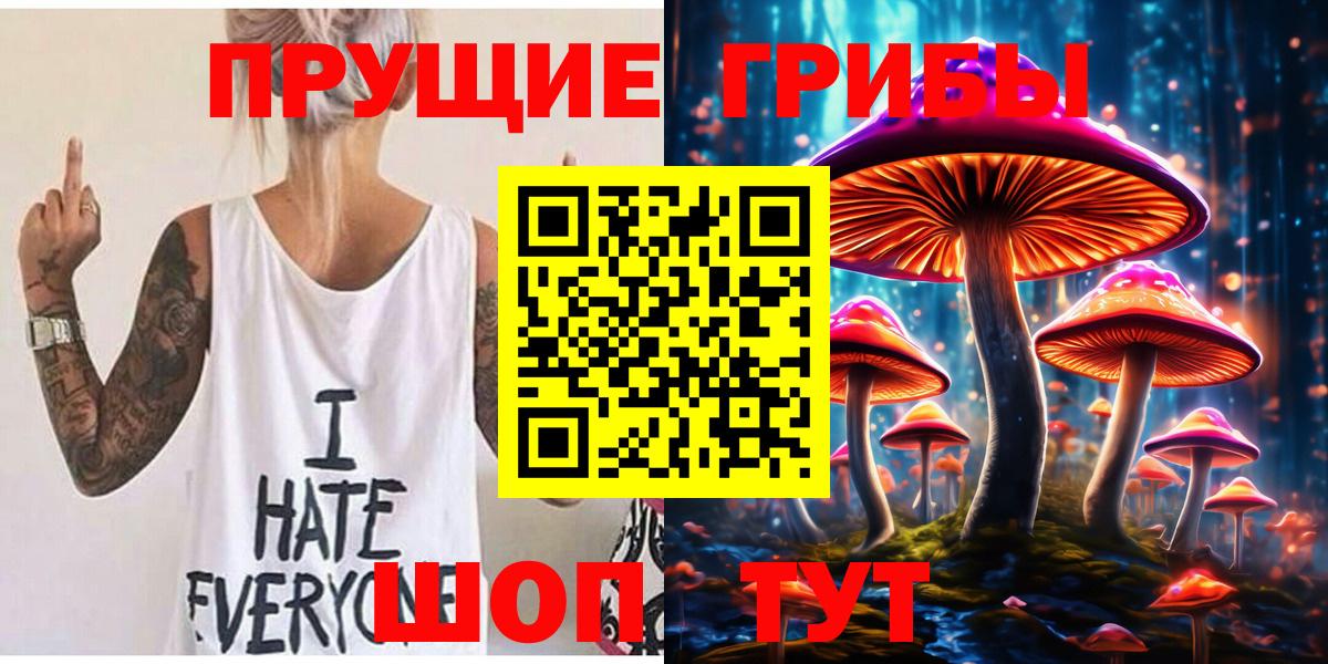 Псилоцибиновые грибы Psilocybine cubensis Россия